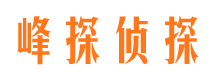 崇川市私家侦探